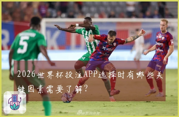 2026世界杯投注APP选择时有哪些关键因素需要了解？