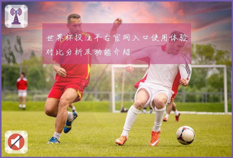 世界杯投注平台官网入口使用体验对比分析及功能介绍