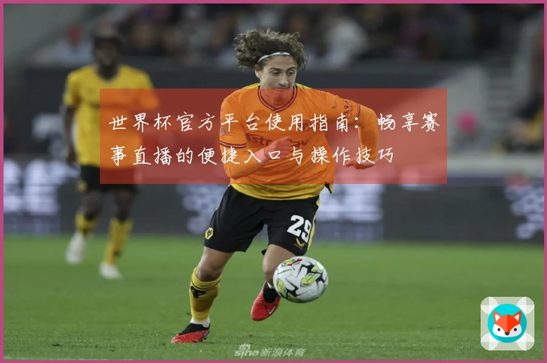 世界杯官方平台使用指南：畅享赛事直播的便捷入口与操作技巧