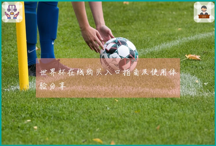 世界杯在线购买入口指南及使用体验分享