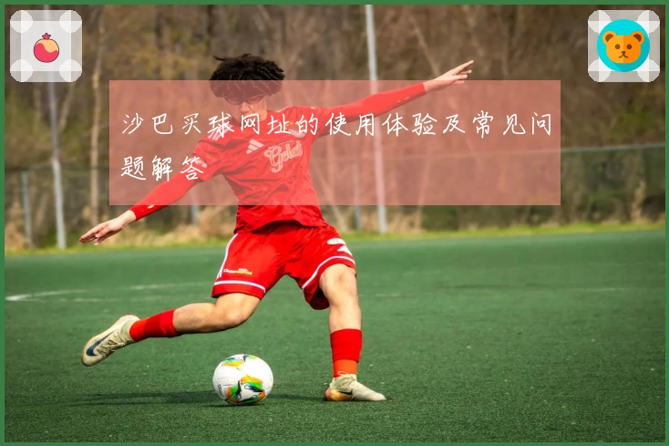 沙巴买球网址的使用体验及常见问题解答