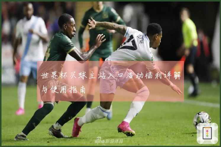 世界杯买球主站入口活动福利详解与使用指南