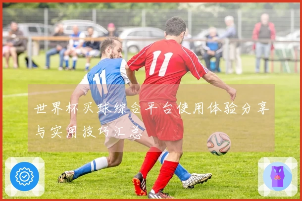 世界杯买球综合平台使用体验分享与实用技巧汇总