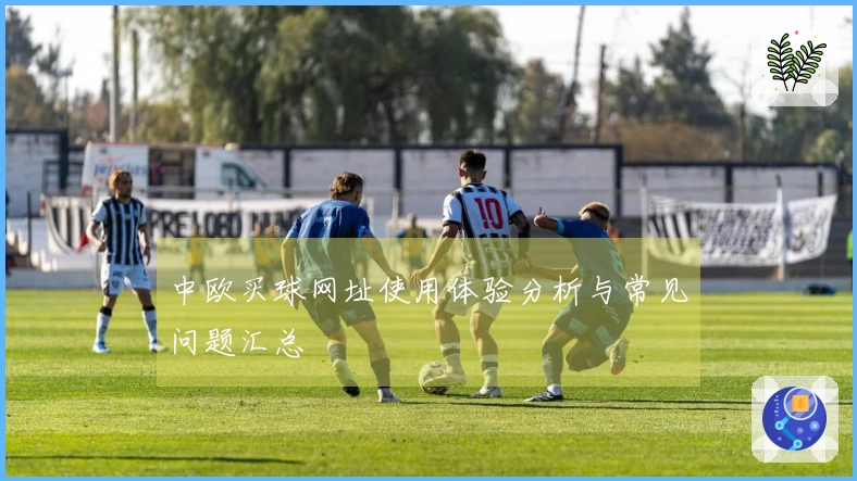 中欧买球网址使用体验分析与常见问题汇总
