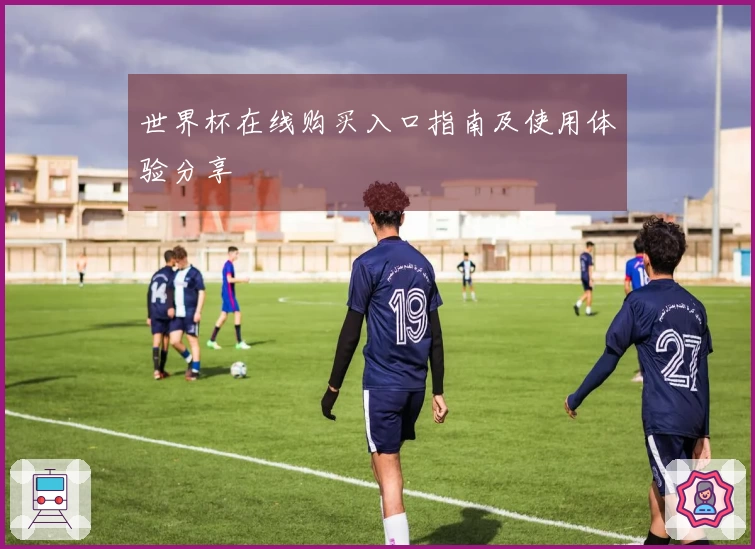 世界杯在线购买入口指南及使用体验分享